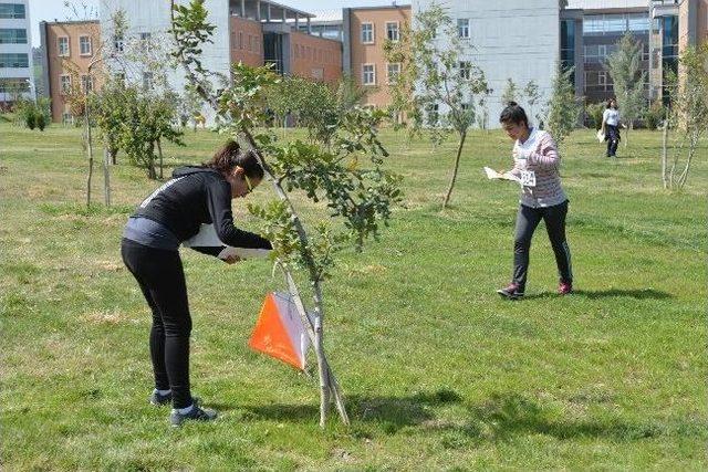 Oryantiring Müsabakaları Tamamlandı