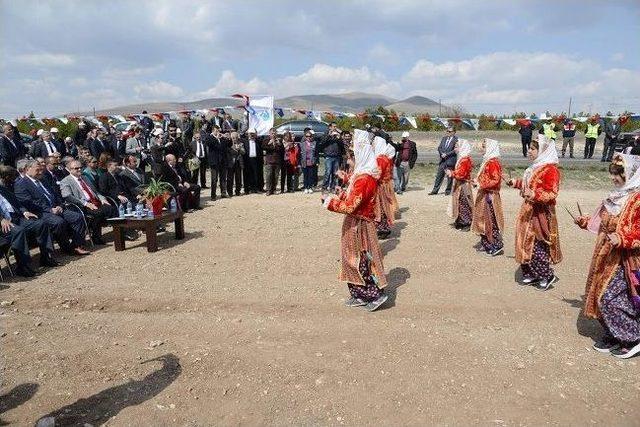 Neşet Ertaş Hatıra Ormanı Oluşturuldu