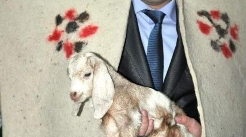 (&ouml;zel Haber) Sertifikalı &Ccedil;obanlar 'kepenek' Giydi