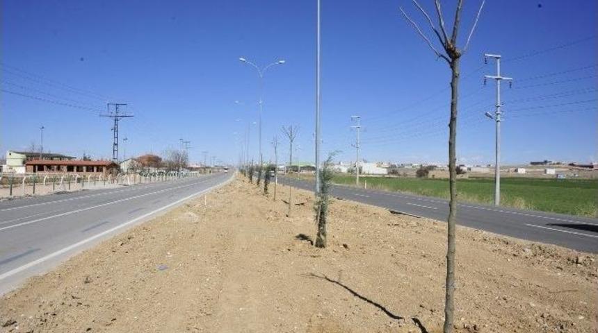 Karaman Belediyesi&rsquo;nde Hedef Yemyeşil Bir Karaman