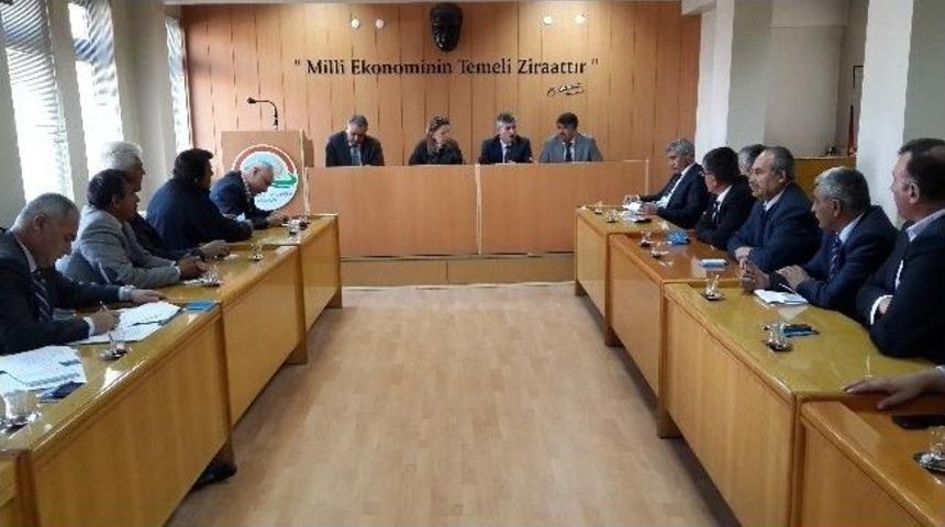 Kayısı İ&ccedil;in İstişare Toplantısı