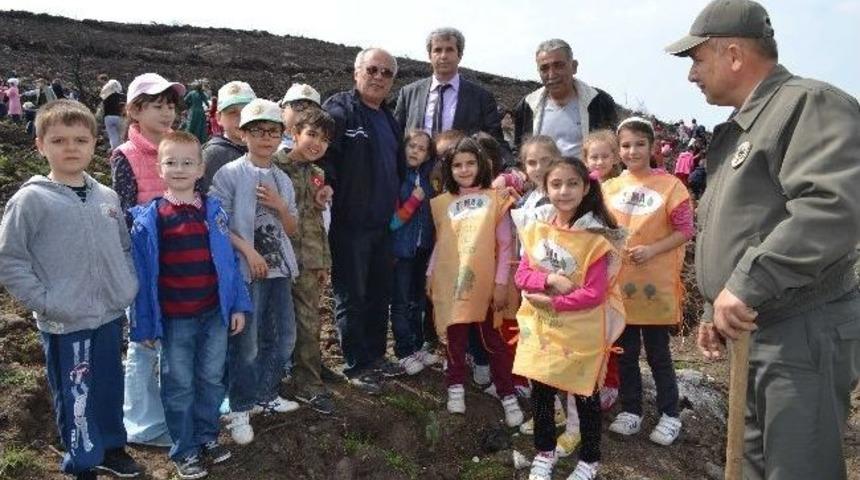 İlkokul &Ouml;ğrencileri Yangın Alanına Fidan Dikti