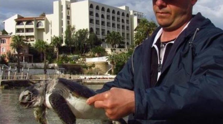 Kuşadası&rsquo;nda Sahile &Ouml;l&uuml; Caretta Caretta Vurdu