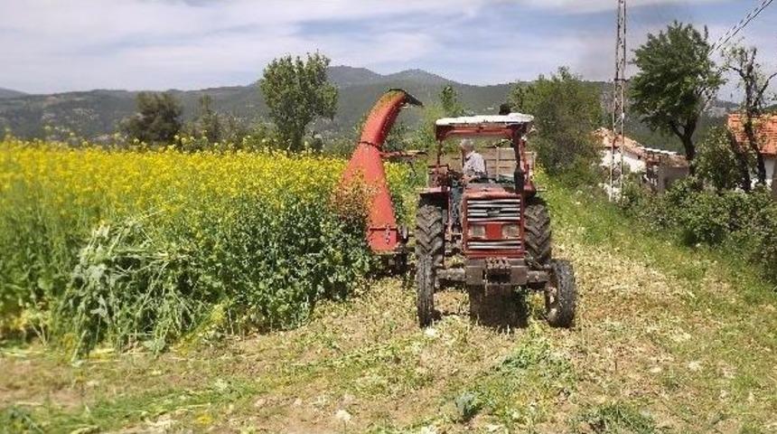 Milas&rsquo;ta Tarla G&uuml;n&uuml; D&uuml;zenleniyor