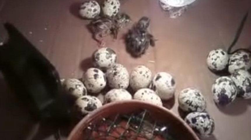 (&ouml;zel) - Pişman Avcı, Doğaya Diyet &Ouml;d&uuml;yor