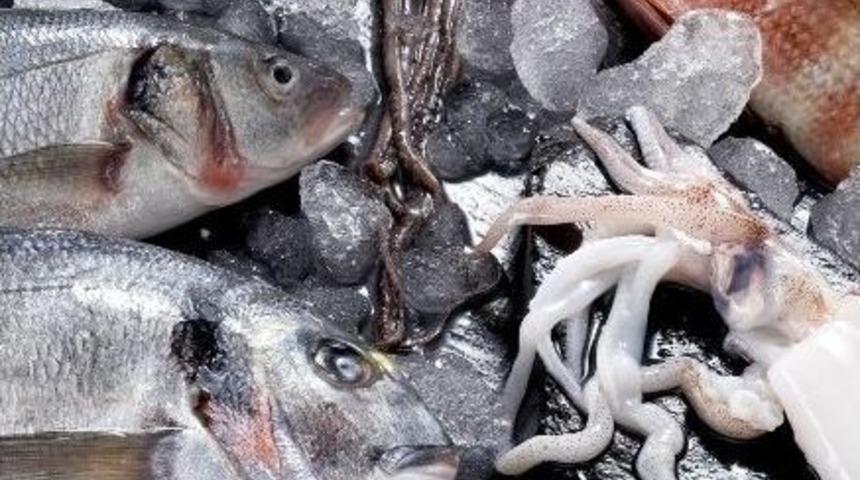 Hayvancılık Ve Su &Uuml;r&uuml;nlerinden Rekor İhracat