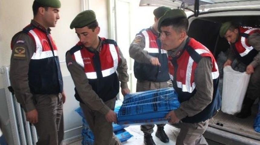 Silah Par&ccedil;ası &Uuml;retilen Bağ Evine Jandarma Baskını