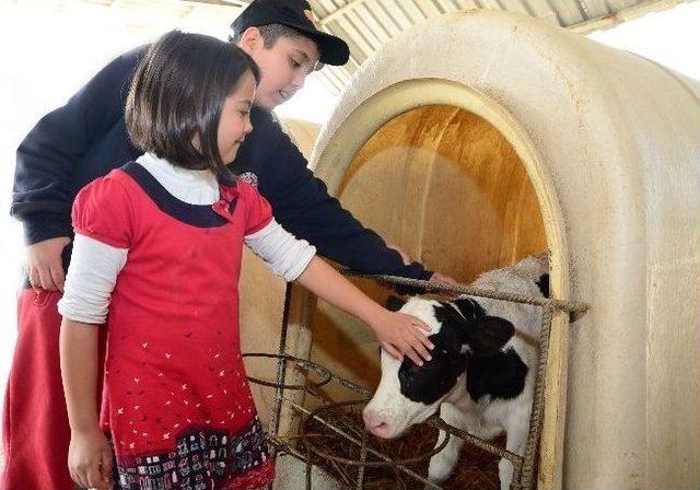 &Ccedil;iftlikte Farkındalık G&uuml;n&uuml; 1