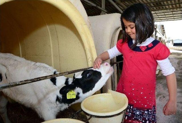 &Ccedil;iftlikte Farkındalık G&uuml;n&uuml; 2