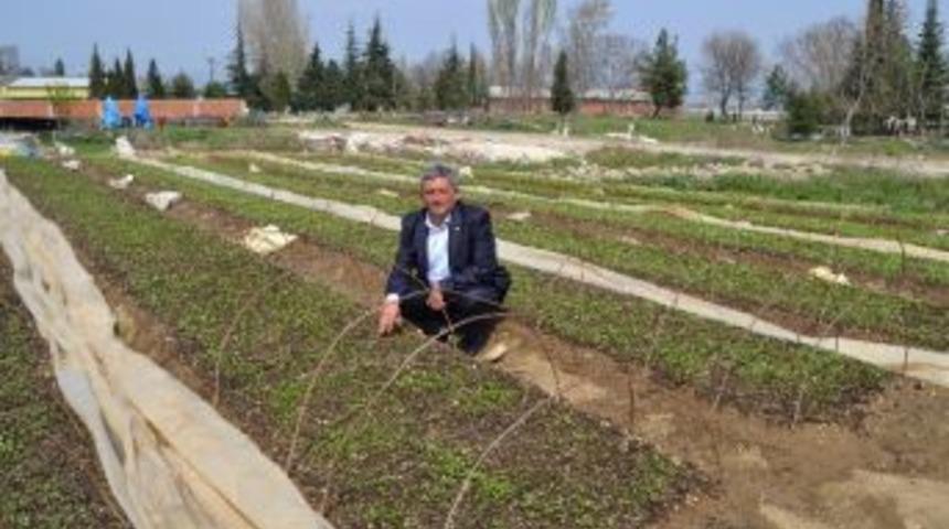 Yenişehirli &Ccedil;ift&ccedil;iler Sezona Umutlu Başladı