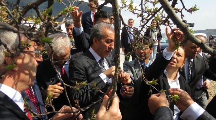 Bakan Eker&rsquo;den 'meyvelerde Don Zararı' A&ccedil;ıklaması