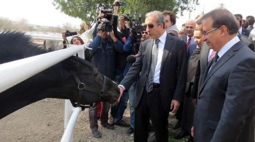 Bakan Eker'in At Sevgisi