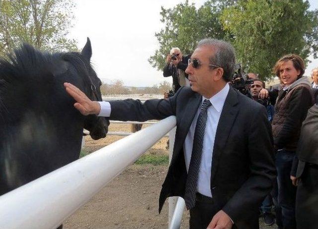 Bakan Eker in At Sevgisi 1