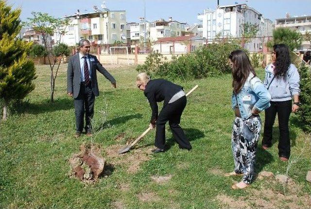 Romanyalı Kuş Gözlemcileri Didim’de İnceleme Yapacak