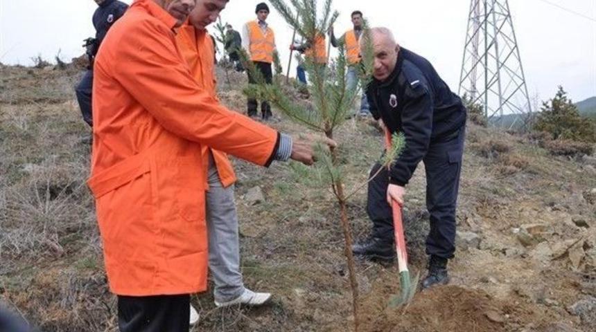 Cezaevi Personeli Ve Mahkumlar Fidan Dikti