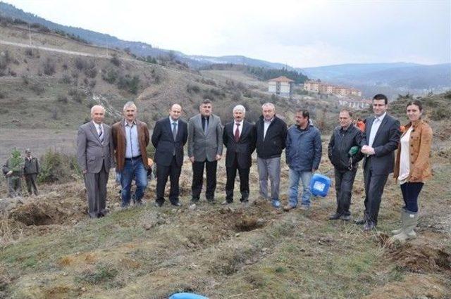 Cezaevi Personeli Ve Mahkumlar Fidan Dikti