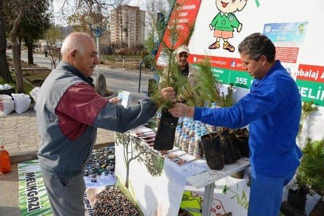 &ldquo;pil Getir, &Ccedil;am G&ouml;t&uuml;r&rdquo; 2