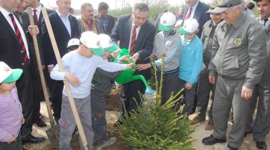 D&uuml;zce&rsquo;de 4 Bin Fidan Toprakla Buluştu