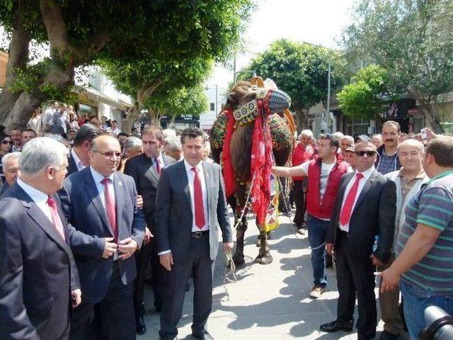 Bodrum Kocadon’u Kucakladı