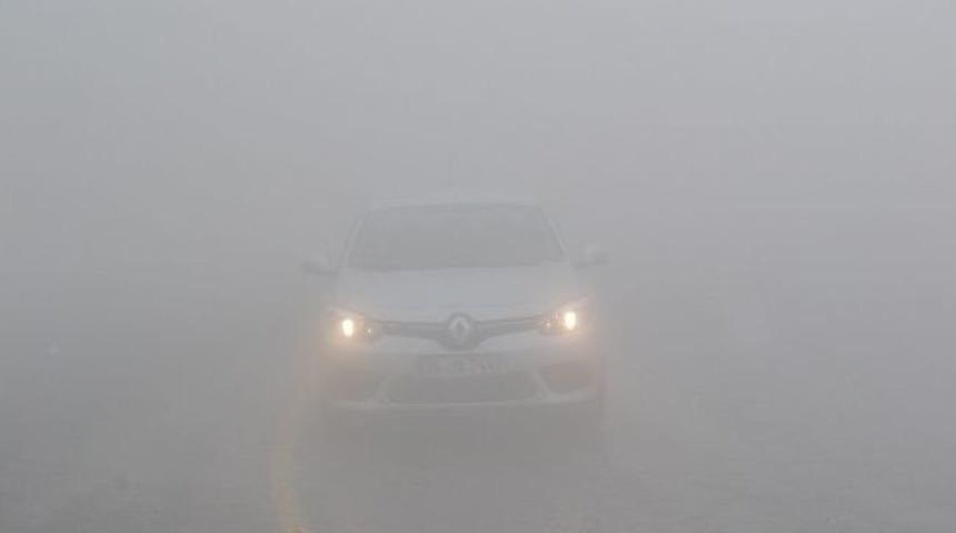 Sis Hayatı Olumsuz Etkiliyor