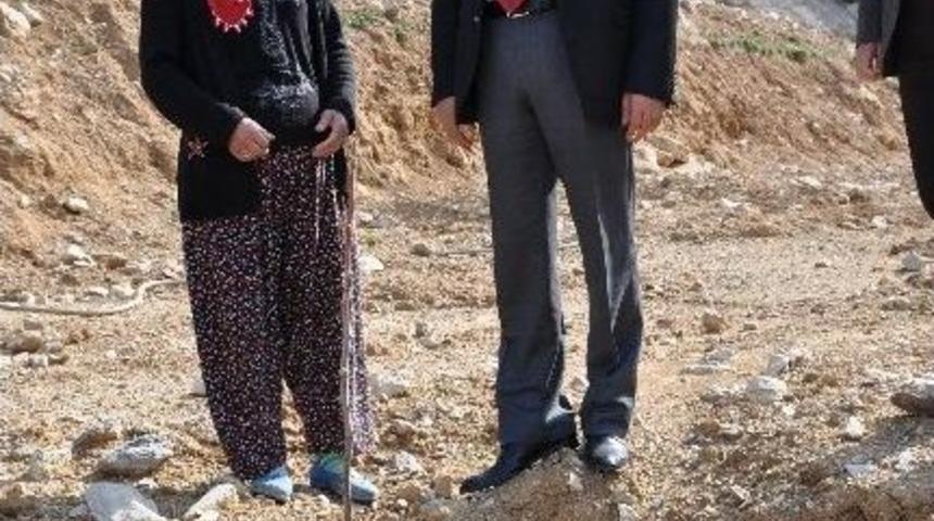 Gazipaşa&rsquo;da &Ouml;rnek Ceviz Bah&ccedil;esi Kuruldu