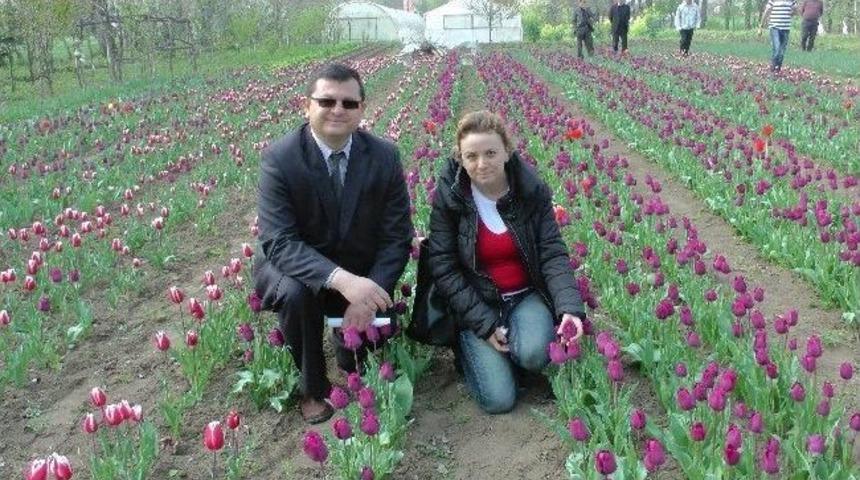 &Ccedil;aycuma&rsquo;da, Lale Bah&ccedil;esinde &Ccedil;i&ccedil;ek Kesim Şenliği Yapıldı