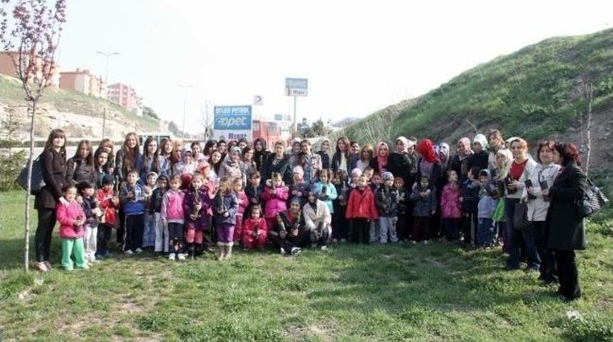 Minik &Ouml;ğrenciler Fidan Dikti