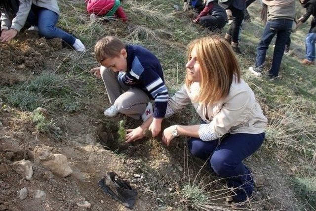 Minik Öğrenciler Fidan Dikti