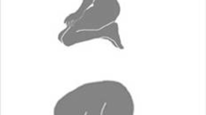 Bel fıtığı ve korunma yolları!