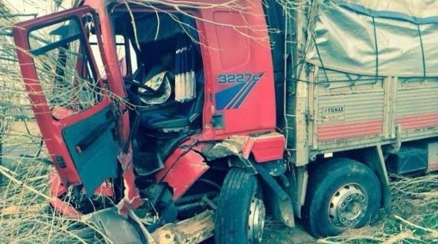 Kamyon Şof&ouml;r&uuml; Direksiyon Başında Kalp Krizi Ge&ccedil;irdi