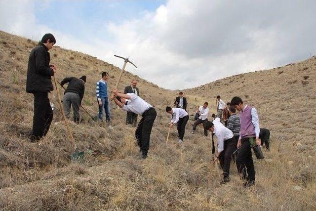 Meslek Lisesi Öğrencilerinden Fidan Dikimi