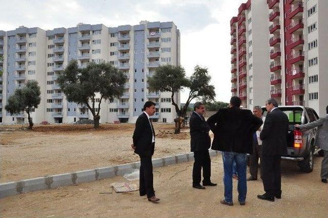 Başkan Alıcık, Mazbatasını Alır Almaz Sahada Projeleri İnceledi