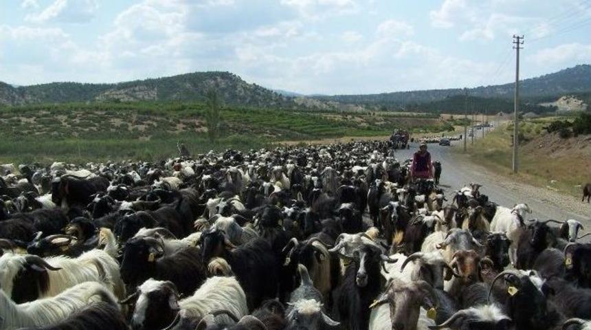 Korkuteli'nde "s&uuml;r&uuml; Y&ouml;netimi Kursu" Başlıyor