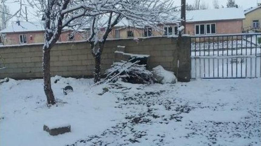 Van&rsquo;da Nisan Karı