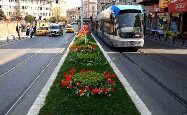 Seyrine Doyum Olmayan Bir Güzellik