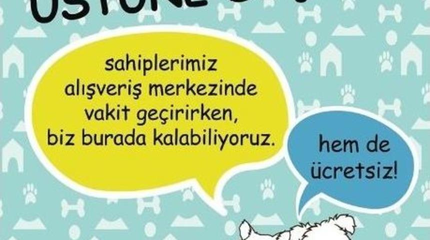 Hayvanseverlere M&uuml;jdeli Haber