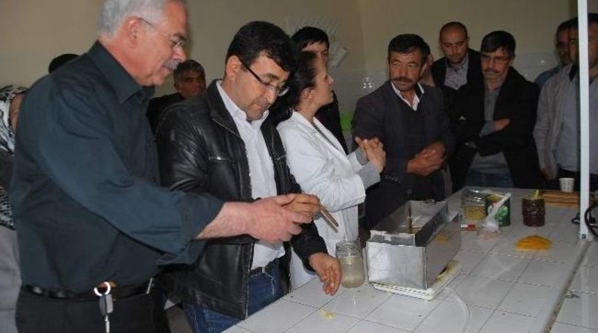 Aydın&rsquo;da Arıcılara &ldquo;ana Arı Yetiştiriciliği Ve Arı S&uuml;t&uuml; &Uuml;retimi&rdquo; Kursu Veriliyor