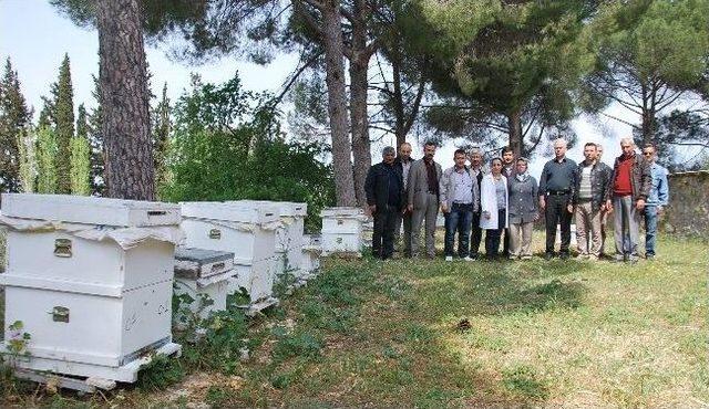 Aydın&rsquo;da Arıcılara &ldquo;ana Arı Yetiştiriciliği Ve Arı S&uuml;t&uuml; &Uuml;retimi&rdquo; Kursu Veriliyor 1