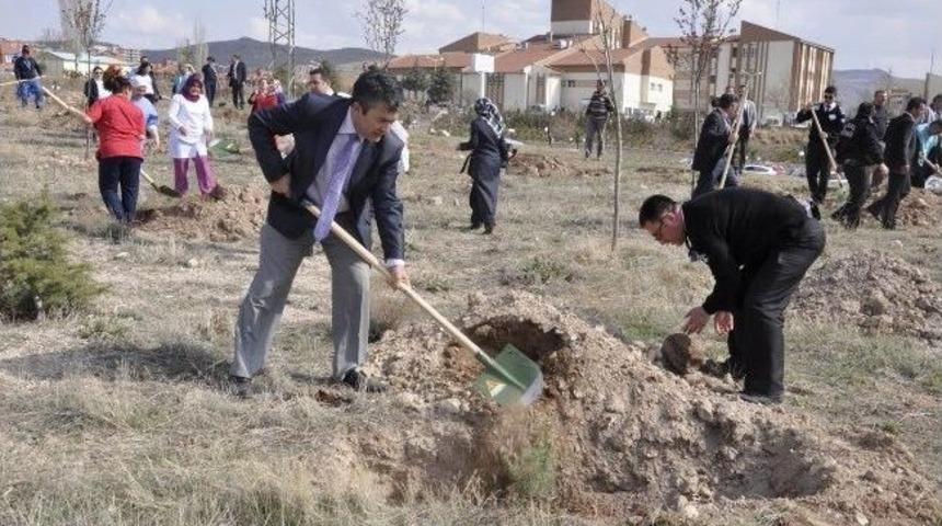 Nevşehir Devlet Hastanesi Bah&ccedil;esine 2 Bin Fidan Dikilecek