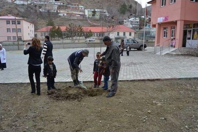 Tortum’da Minik Eller Fidan Dikti