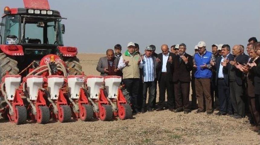 Pancar Tohumları Toprakla Buluştu