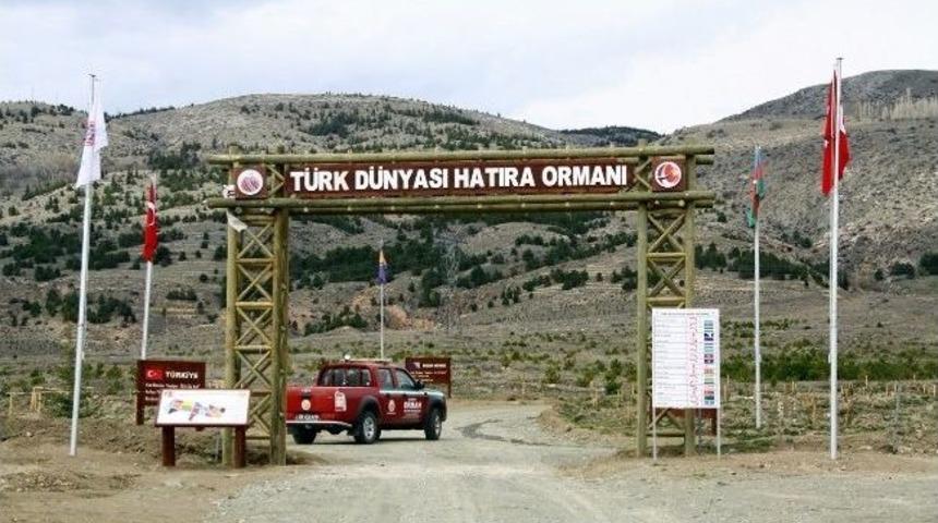 Aman Fidanlar Kurumasın