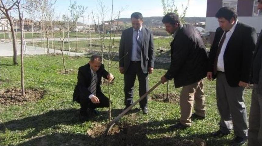 Hani&rsquo;de Fidan Dikim Programı D&uuml;zenlendi