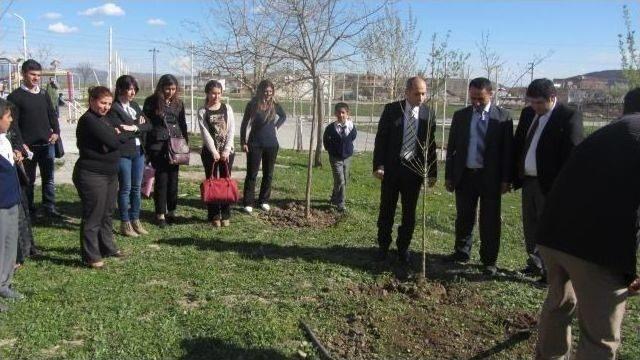 Hani’de Fidan Dikim Programı Düzenlendi