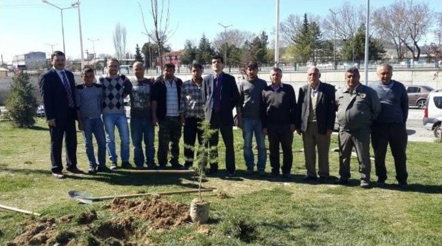 Uşak&rsquo;ın Hastaneleri Yeşilleniyor