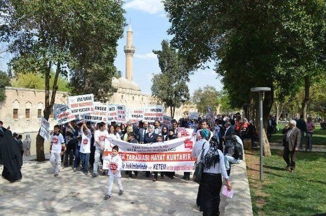 Kanser Haftası Yürüyüşü