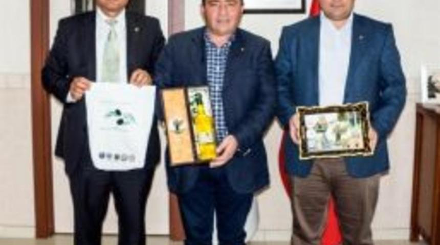 Mut Zeytini Ve Zeytinyağı D&uuml;nya Pazarlarındaki Yeri Artıyor