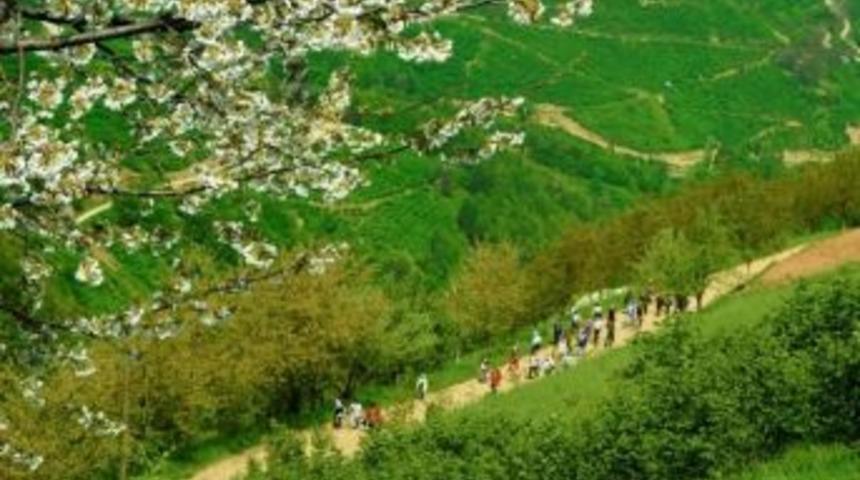 Doğa Y&uuml;r&uuml;y&uuml;şleri Başlıyor