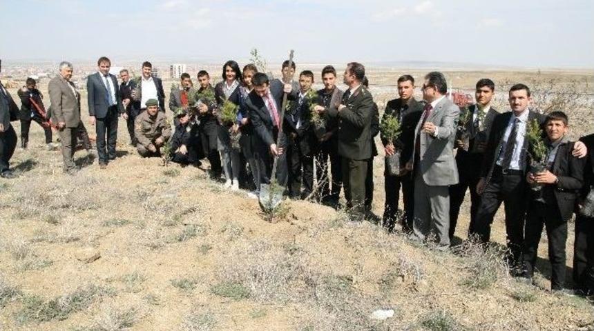 Kulu&rsquo;da 304 Şehit Anısına Fidan Dikildi