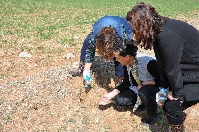 Çiftçilere Fare İle Mücadele Eğitimi